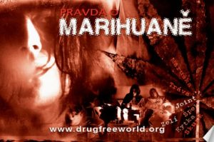 Edice brožur Pravda o drogách - Pravda o marihuaně